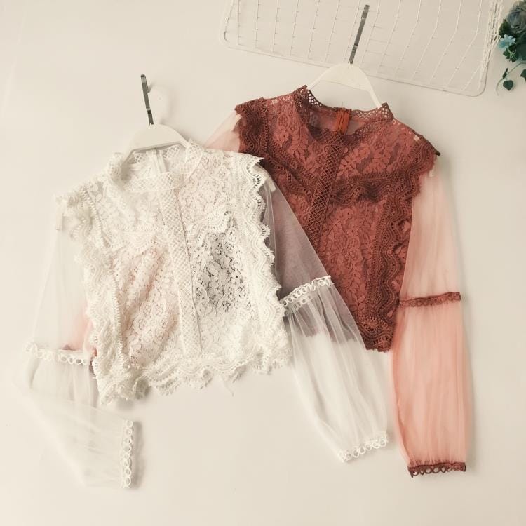 Mesh Lace Cropped Blouse
